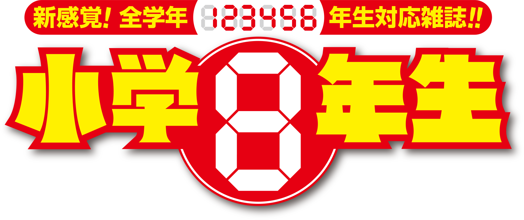 小学8年生